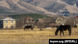 У зоні знесення: як виглядає село Зарічне, де планують знести будинки заради будівництва траси «Таврида» (фотогалерея)