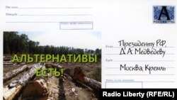 Тысячи открыток-обращений к президенту собрали защитники Химкинского леса.