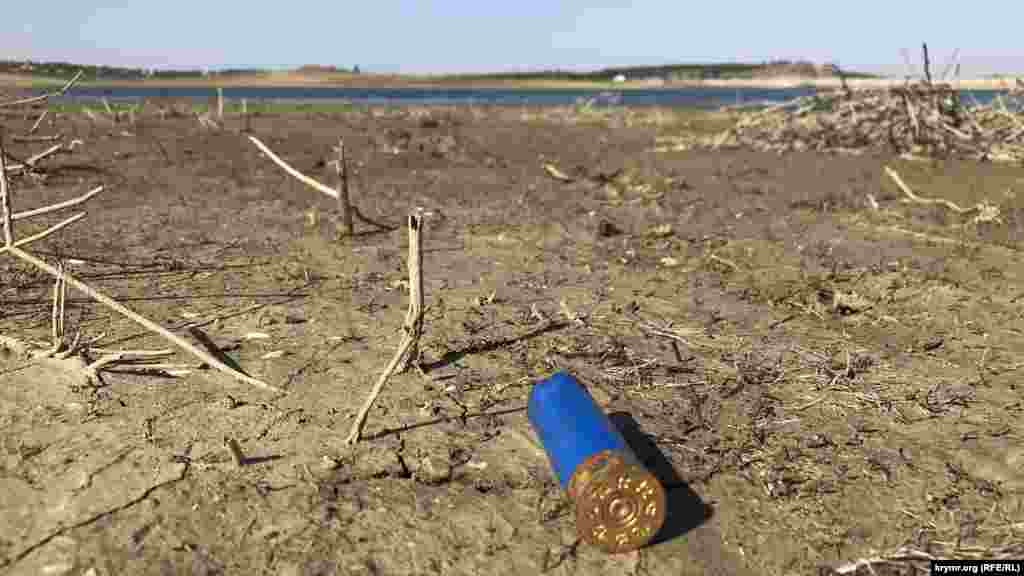 Заборона на прохід до водойми не зупиняє мисливців у бажанні постріляти дичину на її березі