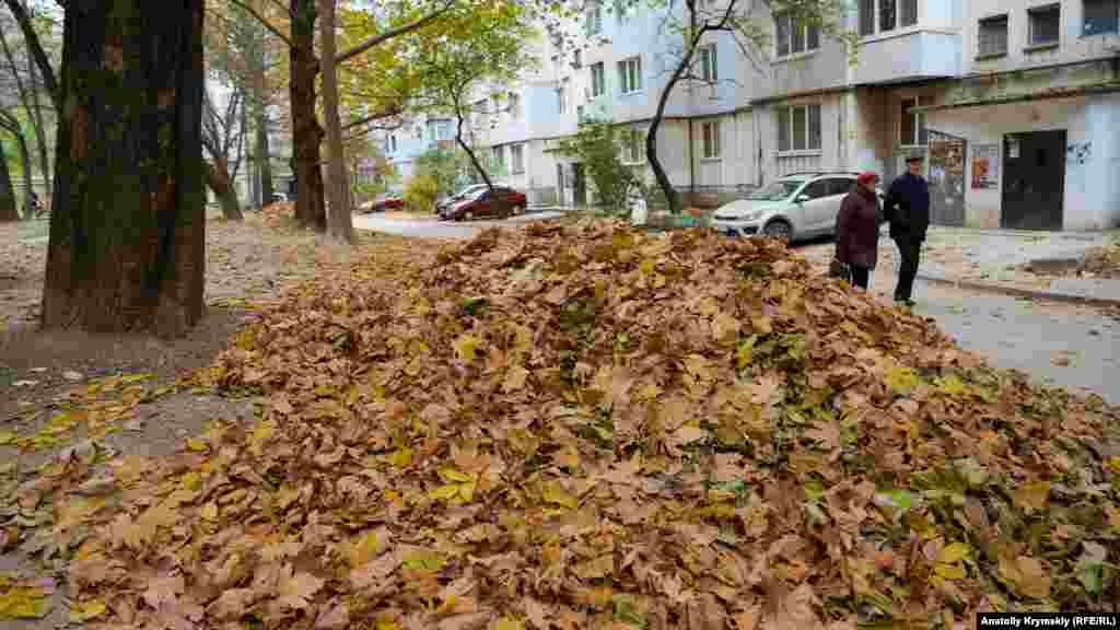 Результати праці місцевих двірників