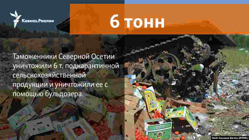 10.04.2018 // Свыше 6 тонн карантинных овощей уничтожили бульдозером во Владикавказе таможенниками Северной Осетии.&nbsp;