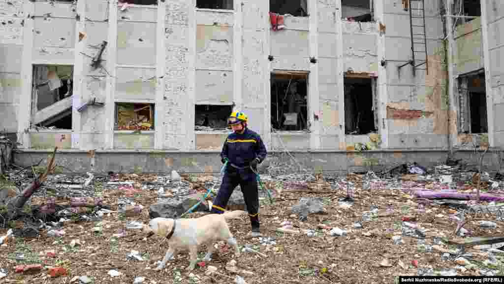 Рятувальники із собаками шукають людей під завалами будівлі. За останніми даними, тривають пошуки ще кількох людей, із якими немає зв&#39;язку