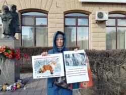 Акция протеста против закона о "вольерной охоте" в Омске