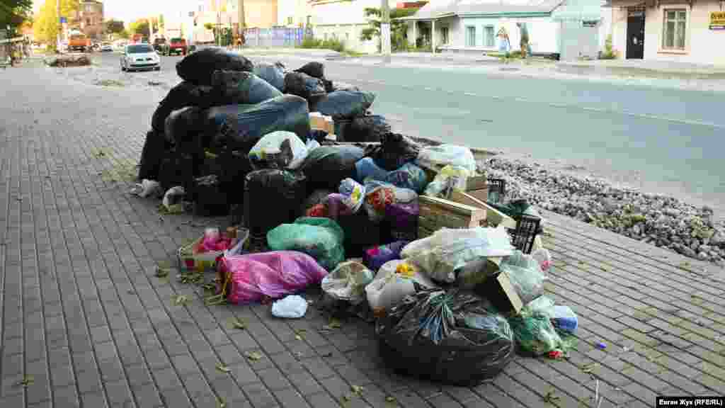 Величезна купа з пакетів зі сміттям на вулиці Льва Толстого