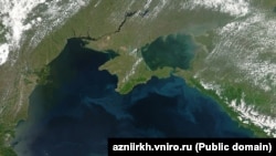 Супутниковий знімок Чорного та Азовського морів. 1 листопада 2024 року