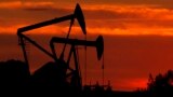 Добыча нефти в США уже достигла уровня, прогнозируемого как среднесуточный за 2017 год