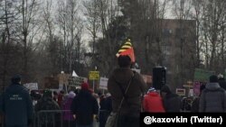 Митинг в защиту одного из московских парков